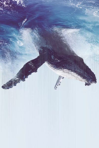 Whales: The Great Escape by Dániel Taylor