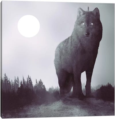 The Hunter Canvas Art Print - Wolf Art