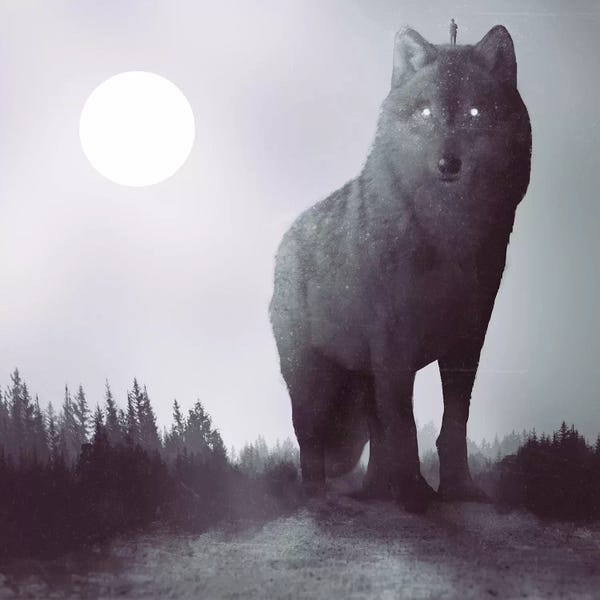 Dániel Taylor: The Hunter by Dániel Taylor