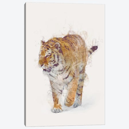 The Tiger Canvas Print #DTA48} by Dániel Taylor Canvas Art