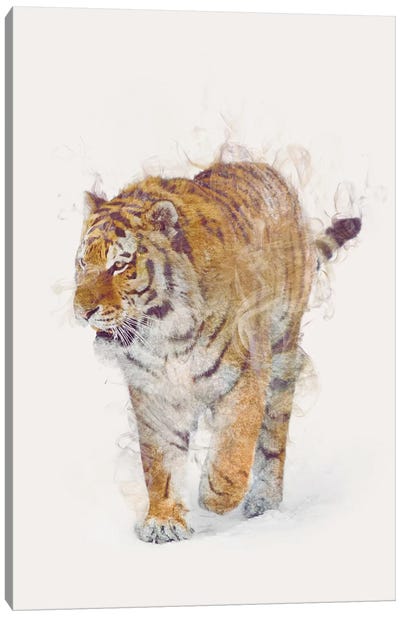 The Tiger Canvas Art Print - Dániel Taylor