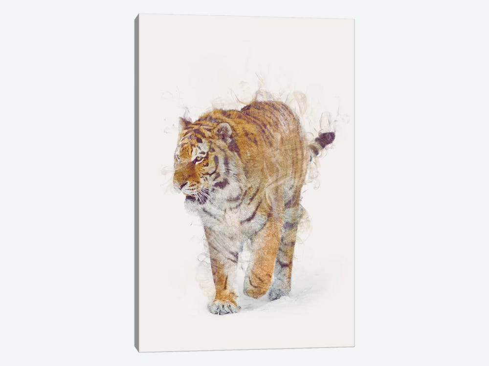 The Tiger by Dániel Taylor 1-piece Canvas Art