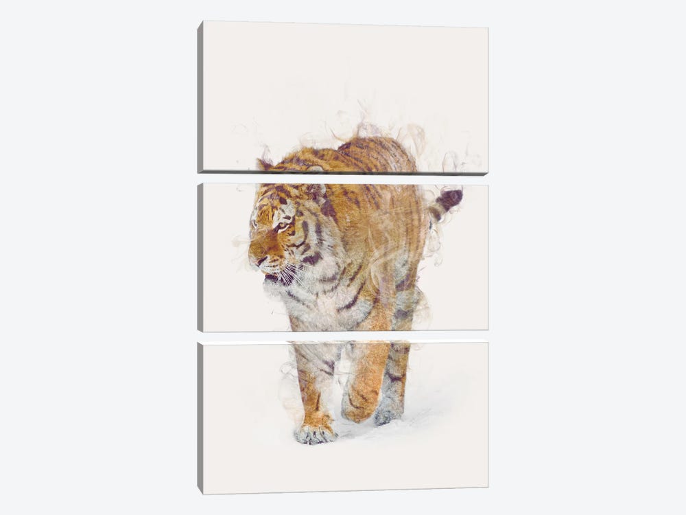 The Tiger by Dániel Taylor 3-piece Canvas Wall Art