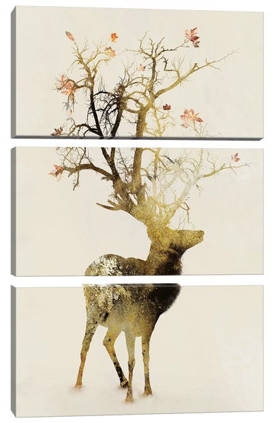Autumn Canvas Art Print - 3-Piece Tree Art