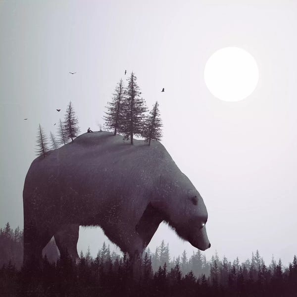 Large Black & White Art - Canvas Prints: The Wanderer by Dániel Taylor