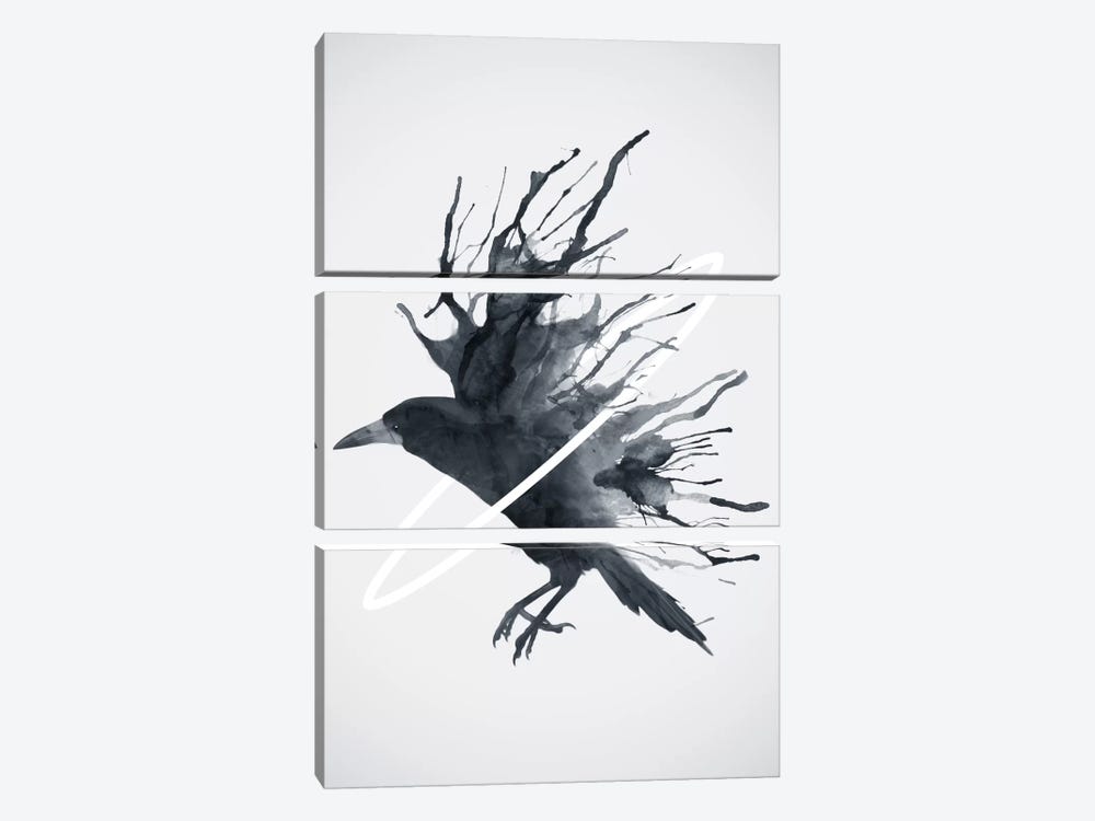 Crow by Dániel Taylor 3-piece Canvas Art