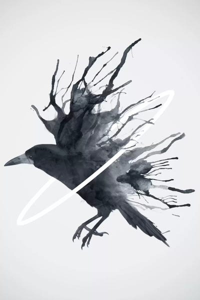 Dániel Taylor: Crow by Dániel Taylor