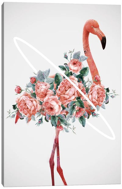 Flamingo Canvas Art Print - Dániel Taylor