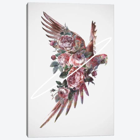 Fly Away I Canvas Print #DTA58} by Dániel Taylor Art Print