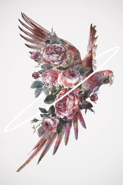 Parrots: Fly Away I by Dániel Taylor