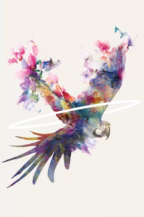 Fly Away II
