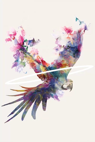 Parrots: Fly Away II by Dániel Taylor