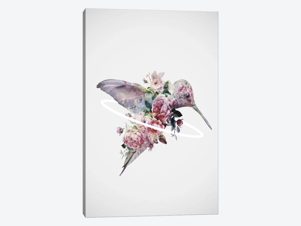 Kolibri by Dániel Taylor 1-piece Canvas Art