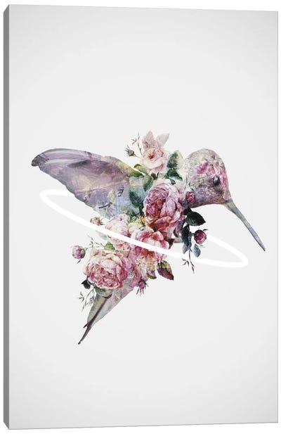 Kolibri Canvas Art Print - Hummingbird Art