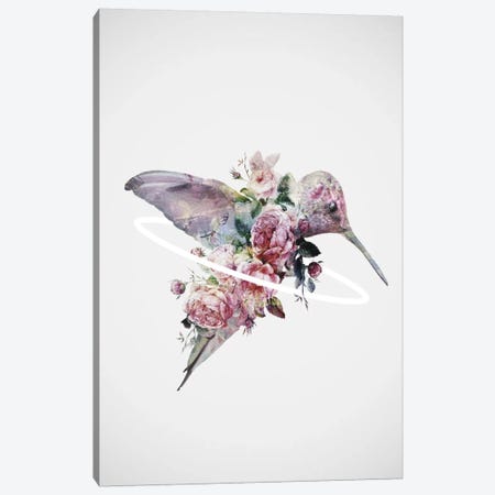 Kolibri Canvas Print #DTA62} by Dániel Taylor Canvas Art