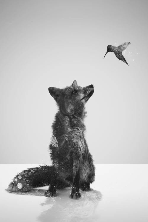 Little Friend by Dániel Taylor wall art