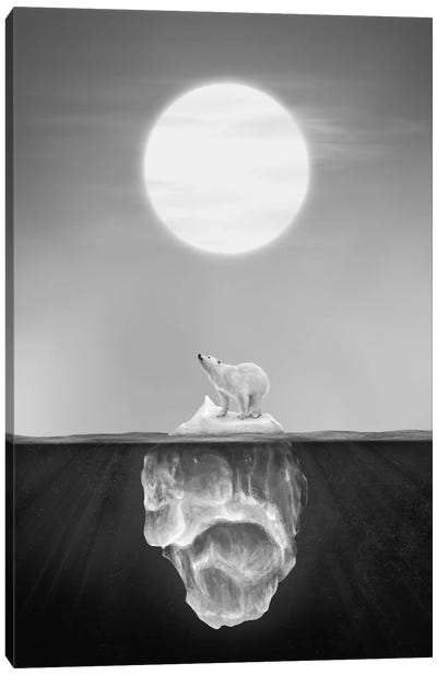 Polar Bear Canvas Art Print - Kids Astronomy & Space Art