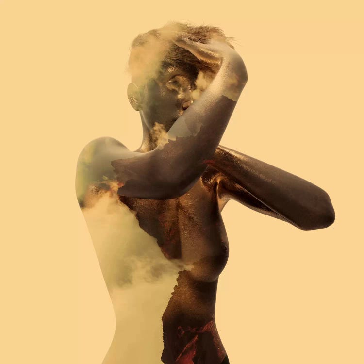 Goldie by Dániel Taylor wall art
