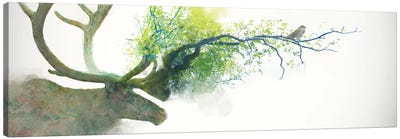 Caribou Canvas Art Print - Greenery Dècor
