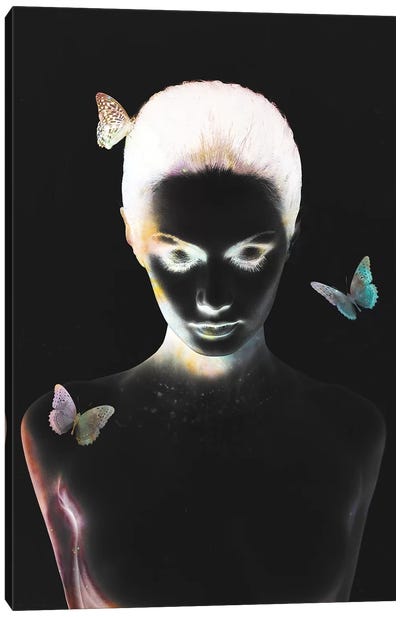 Illuminate Me Canvas Art Print - Monarch Butterflies