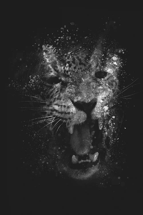 Prey II by Dániel Taylor wall art
