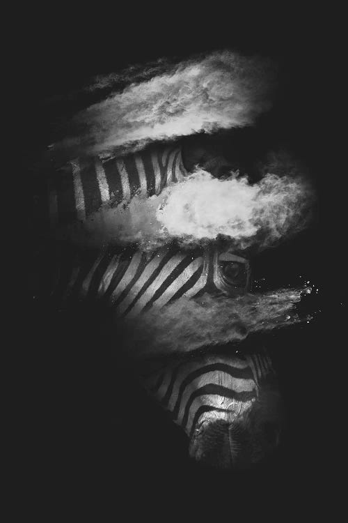 Stripes by Dániel Taylor wall art