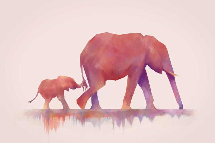 Colors To Life by Dániel Taylor wall art