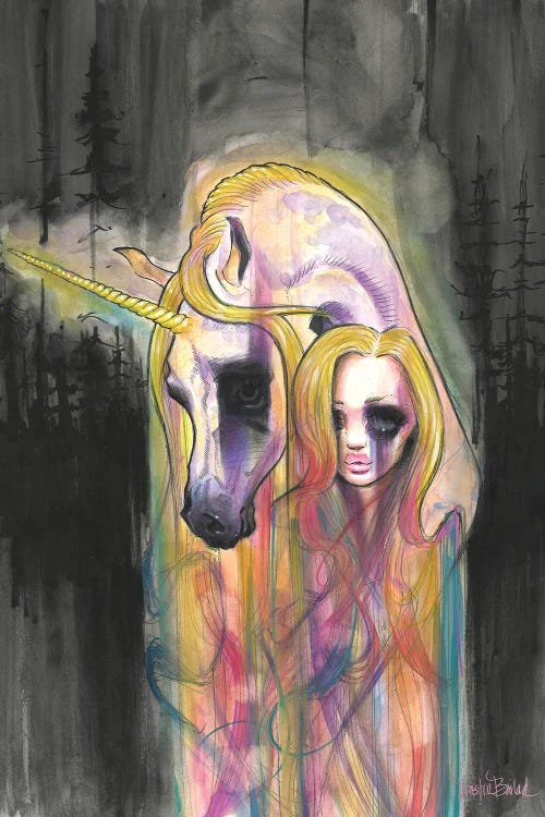 Finding Rainbows by Dustin Bailard wall art