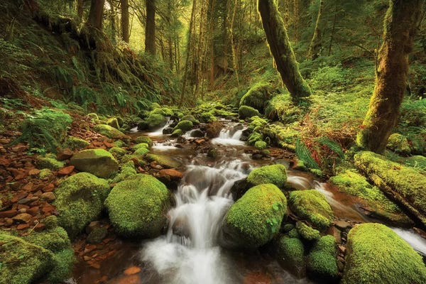 Dautlich: Enchanted Creek by Dautlich