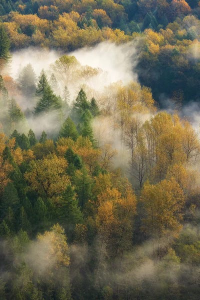 Dautlich: Falls Glow by Dautlich