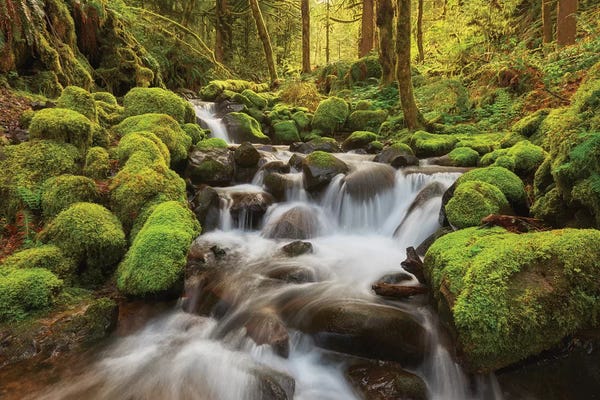 Dautlich: Ancient Streams by Dautlich