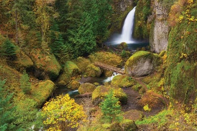 Autumns Painter by Dautlich canvas print