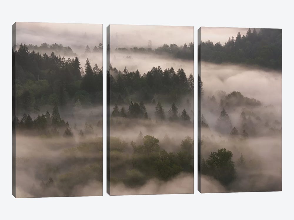 Forest Shroud by Dautlich 3-piece Art Print