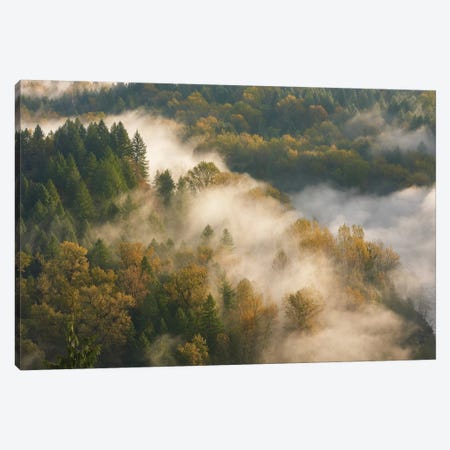 Golden Autumn Mist Canvas Print #DTH27} by Dautlich Canvas Wall Art