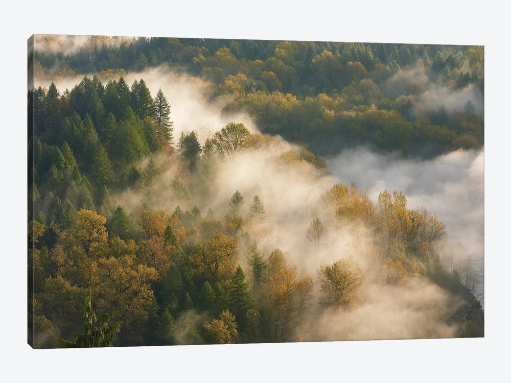 Golden Autumn Mist by Dautlich 1-piece Canvas Art Print