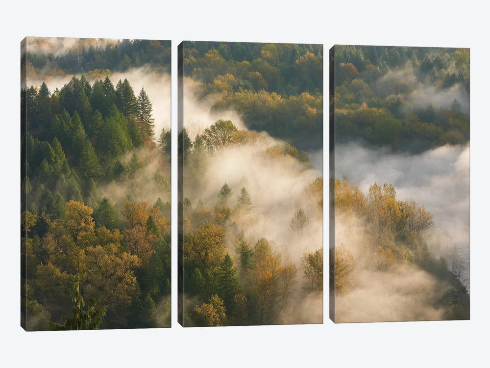 Golden Autumn Mist by Dautlich 3-piece Canvas Art Print