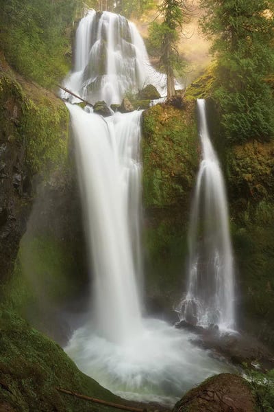 luminous Light by Dautlich canvas print