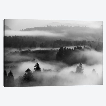 Mist Forest Magic Canvas Print #DTH34} by Dautlich Canvas Print