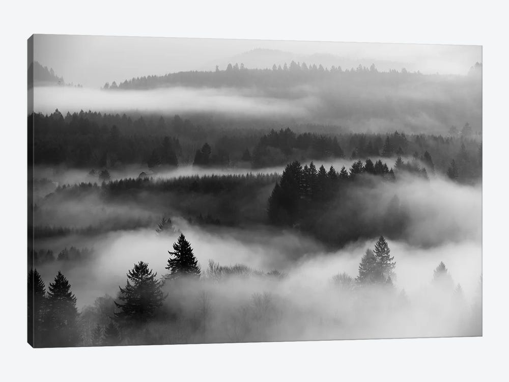Mist Forest Magic by Dautlich 1-piece Art Print