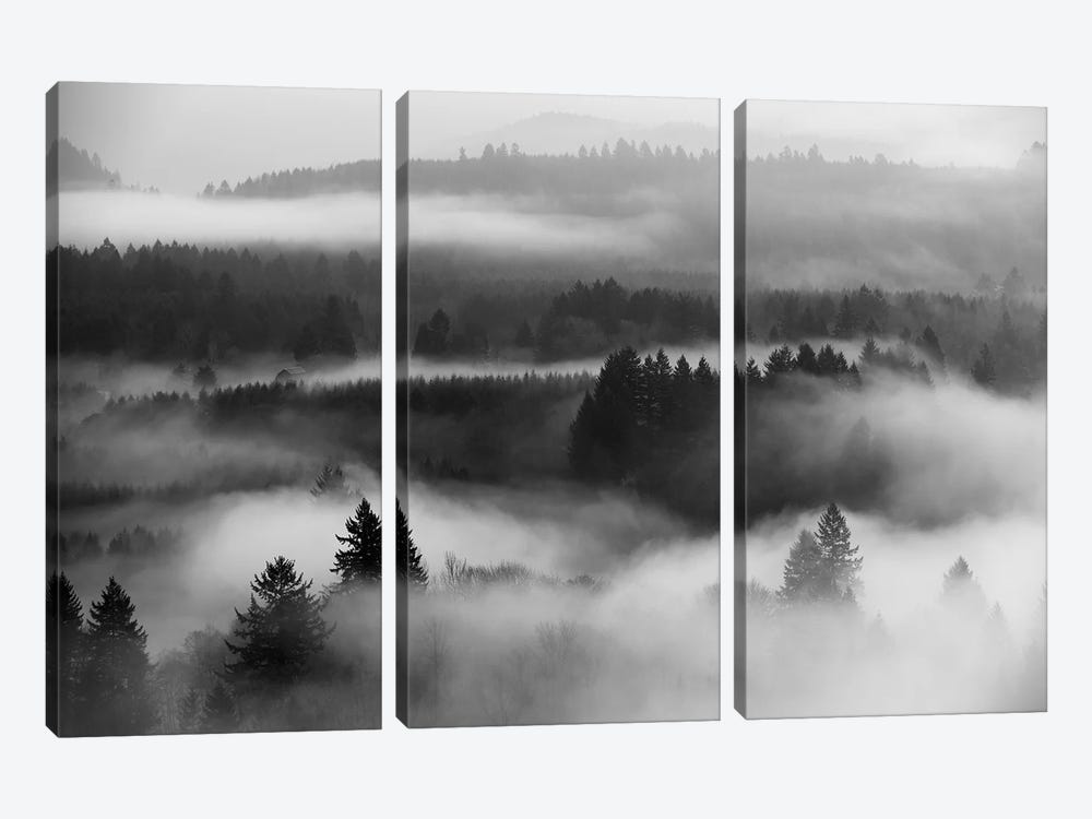 Mist Forest Magic by Dautlich 3-piece Art Print