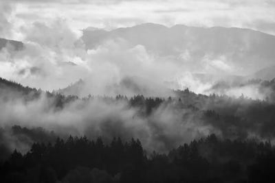 Mountain Mist Dream I by Dautlich canvas print