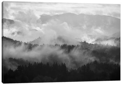 Mountain Mist Dream I Canvas Art Print - Black & White Scenic