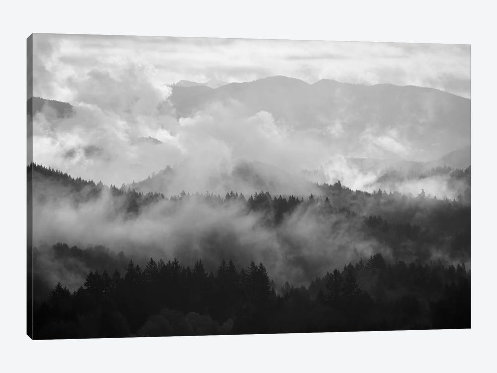 Mountain Mist Dream I by Dautlich 1-piece Canvas Wall Art