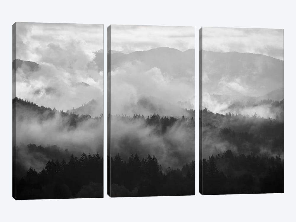 Mountain Mist Dream I by Dautlich 3-piece Canvas Wall Art