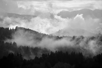 Mountain Mist Dream II by Dautlich canvas print