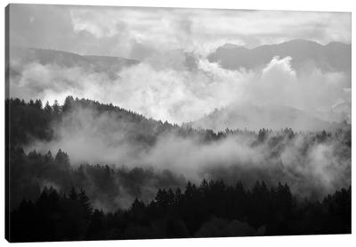 Mountain Mist Dream II Canvas Art Print - Dautlich