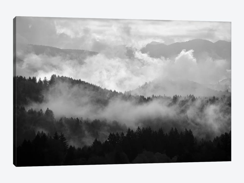 Mountain Mist Dream II by Dautlich 1-piece Canvas Art Print