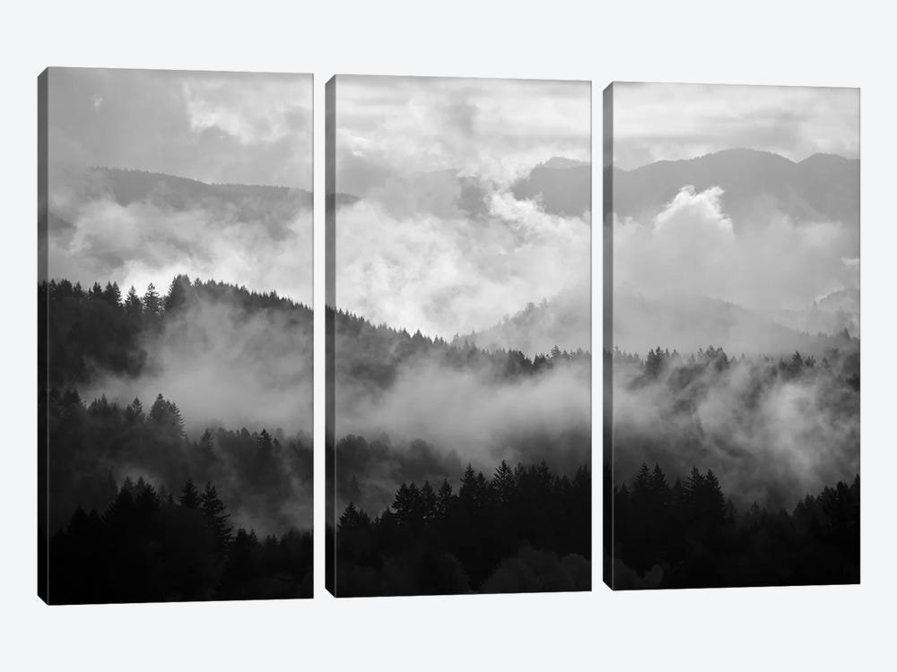 Mountain Mist Dream II by Dautlich 3-piece Canvas Print