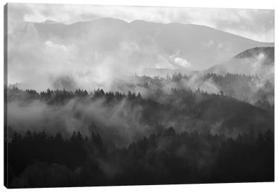 Mountain Mist Dream III Canvas Art Print