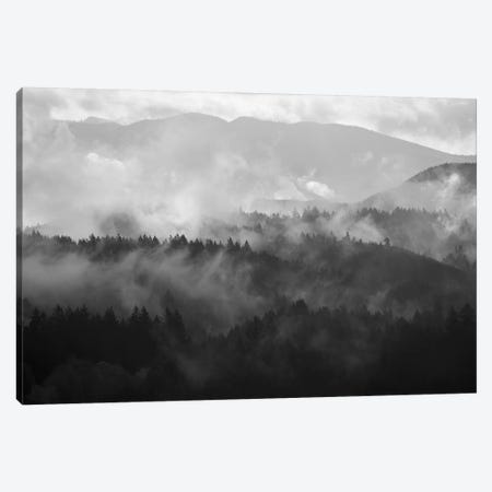 Mountain Mist Dream III Canvas Print #DTH39} by Dautlich Canvas Wall Art